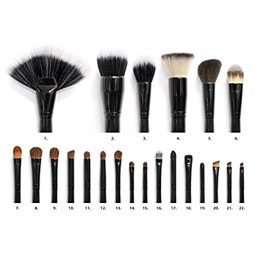 Coastal Scents 22 Piece Makeup Brush Set (BR-SET-011)
