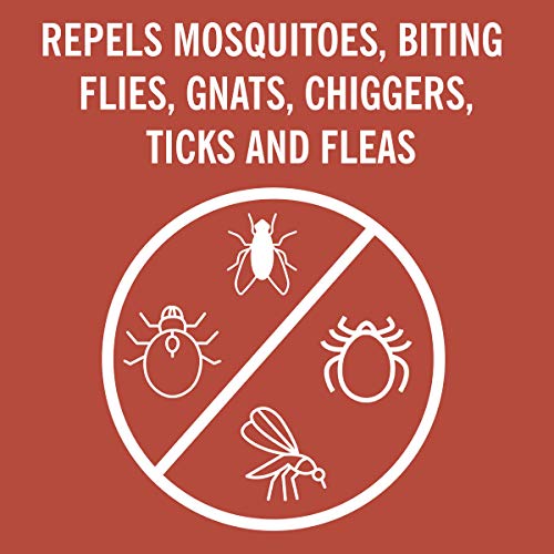 Coleman 100 Max 100% DEET Insect Repellent Spray - 1 fl oz