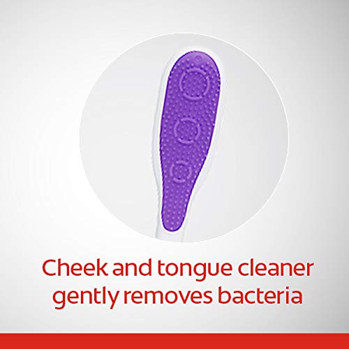 Colgate 360 Toothbrush, Soft, 4 Count