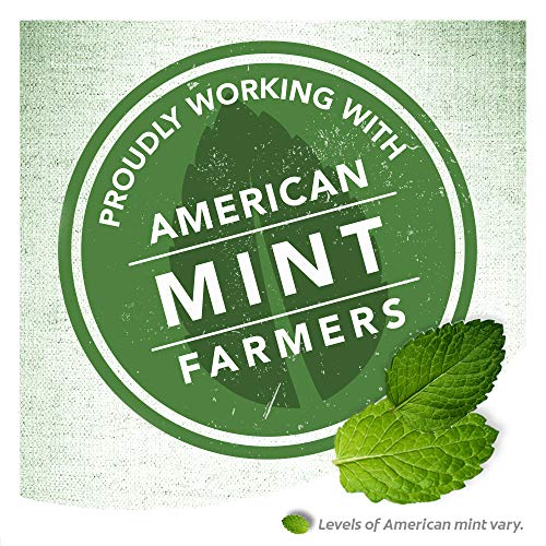 Colgate Max Fresh Toothpaste with Mini Breath Strips, Cool Mint - 7.6 Ounce (...