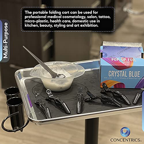 Concentrics - Premium Aluminum Instrument Salon Rolling Tray Table W/Accessor...