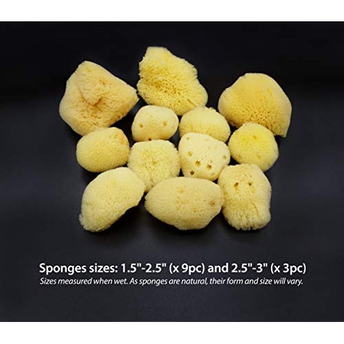 Natural Sea Silk Sponges 12pk: Size 1.5"-3" like Cotton Balls, for Cosmetic U...