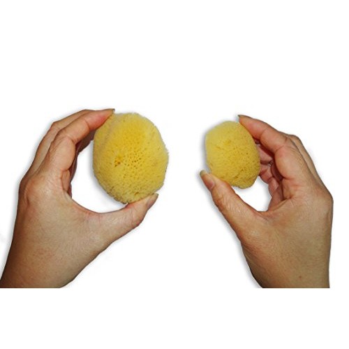 Natural Sea Silk Sponges 12pk: Size 1.5"-3" like Cotton Balls, for Cosmetic U...