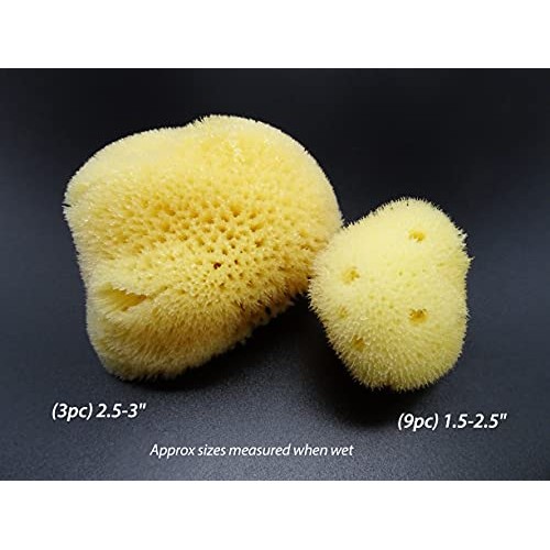 Natural Sea Silk Sponges 12pk: Size 1.5"-3" like Cotton Balls, for Cosmetic U...