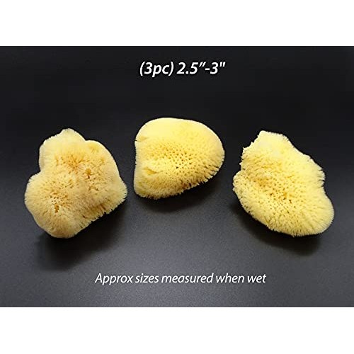 Natural Sea Silk Sponges 12pk: Size 1.5"-3" like Cotton Balls, for Cosmetic U...