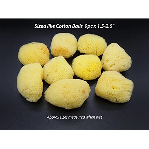 Natural Sea Silk Sponges 12pk: Size 1.5"-3" like Cotton Balls, for Cosmetic U...