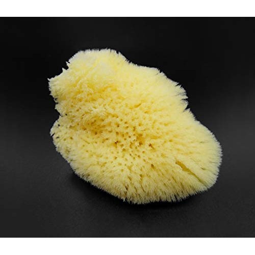 Natural Sea Silk Sponges 12pk: Size 1.5"-3" like Cotton Balls, for Cosmetic U...