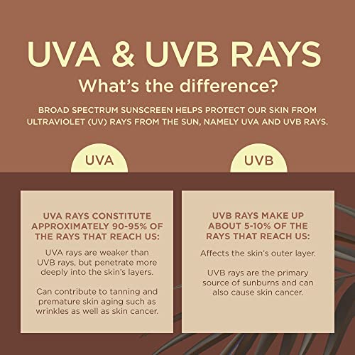 Coppertone Tanning Dry Oil Sunscreen Continuous Spray SPF 15 (5.5 Ounce) (Pac...