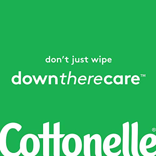 Cottonelle GentlePlus Flushable Wet Wipes with Aloe & Vitamin E - 6 Flip-Top ...