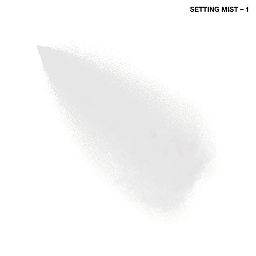 COVERGIRL Outlast Active All-day Setting Mist, 3.4 Ounce