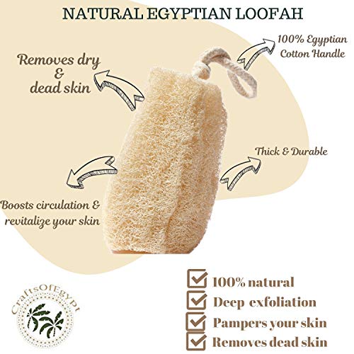 All Natural Loofah Sponge, Set of 3 Real Egyptian Bath & Shower Exfoliating L...