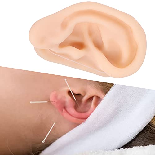Ear Acupuncture Practice Model, Fake Ears, Silicone Ear Model for Hospital Di...