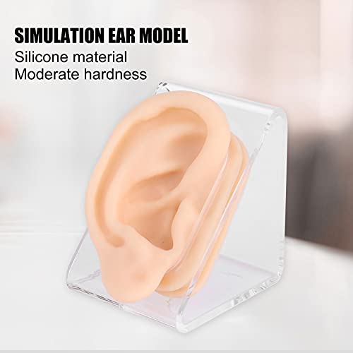Ear Acupuncture Practice Model, Fake Ears, Silicone Ear Model for Hospital Di...