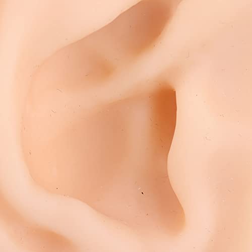 Ear Acupuncture Practice Model, Fake Ears, Silicone Ear Model for Hospital Di...