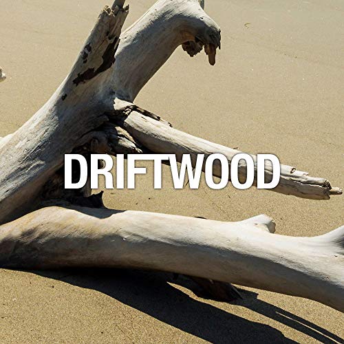 Women's Perfume by Curve, Curve Wave, Eau De Toilette Spray, 3.4 Fl Oz