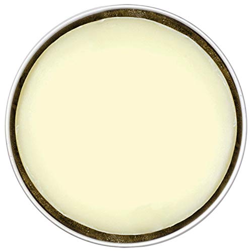 da Vinci Cosmetics Series 4834 Brush Cleaning Soap, Small, 40 Gram