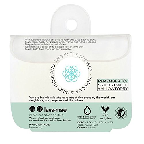 Daily Concepts, Daily Baby Konjac Sponge, (PURE)