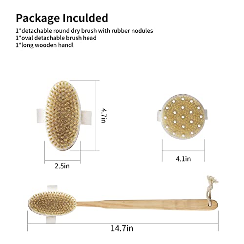 Lotion Applicator for Back, Body Brush for Wet or Dry Brushing, 6PCS Natural ...