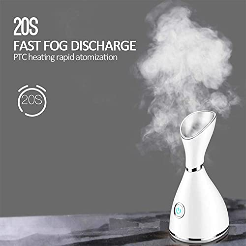 DayFancy Ionic Facial Steamer Warm Mist Nano Spray Moisturizing and Pore Clea...