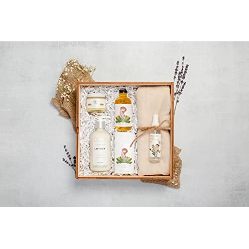 Belly Balm - Mom-to-Be Cocoa Butter Moisture Stick - Stretch Mark Protection,...