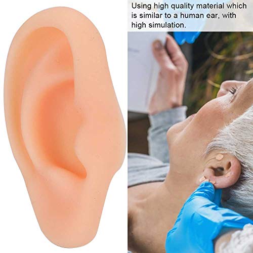 DEALPEAK Human Ear Model Professional Silicone Ear Acupuncture Massage Practi...