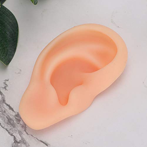 DEALPEAK Human Ear Model Professional Silicone Ear Acupuncture Massage Practi...