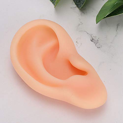 DEALPEAK Human Ear Model Professional Silicone Ear Acupuncture Massage Practi...