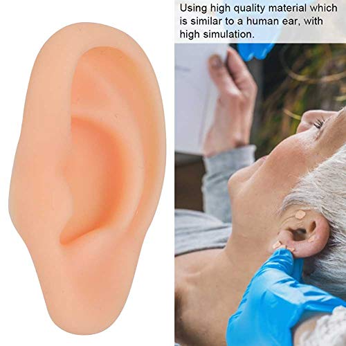 DEALPEAK Professional Simulated Ear Model for Acupuncture Practice Massage Te...