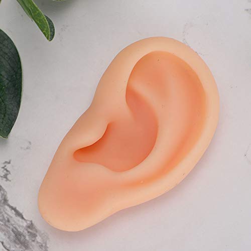 DEALPEAK Professional Simulated Ear Model for Acupuncture Practice Massage Te...