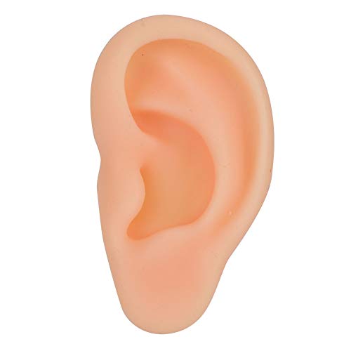 DEALPEAK Professional Simulated Ear Model for Acupuncture Practice Massage Te...