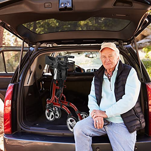 Rollator Walker for Seniors and Adults, 8" Wheels Medical Rolling Walker with...