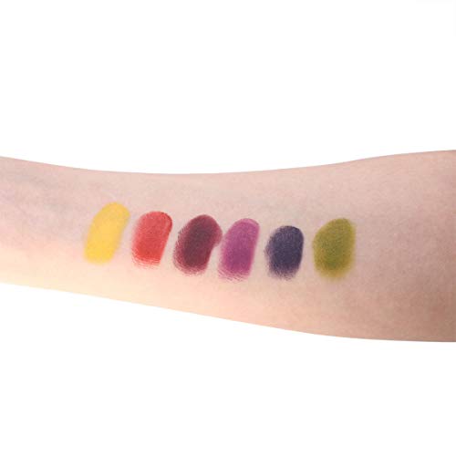 DELISOUL 6 Colors Bruise Wheel Professional Non-Toxic Face Body Paint Oil The...