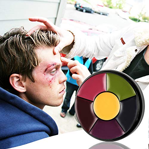 DELISOUL 6 Colors Bruise Wheel Professional Non-Toxic Face Body Paint Oil The...