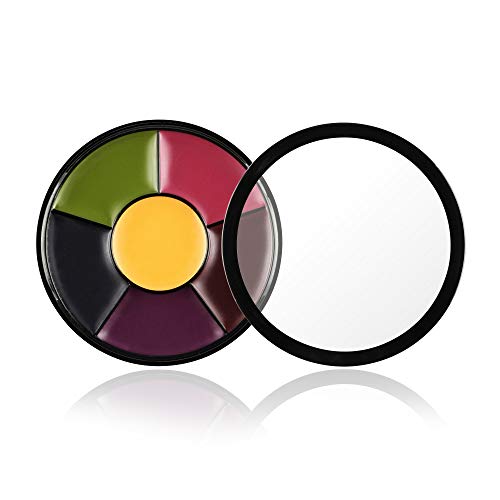 DELISOUL 6 Colors Bruise Wheel Professional Non-Toxic Face Body Paint Oil The...