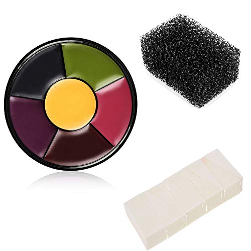 DELISOUL 6 Colors Bruise Wheel Professional Non-Toxic Face Body Paint Oil The...