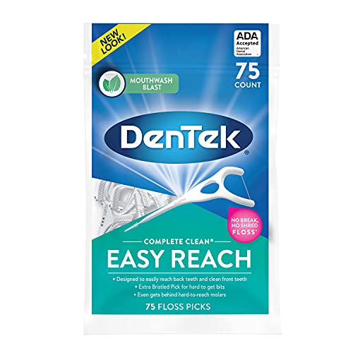 DenTek Complete Clean Fresh Mint Angled Floss Picks 75 ea (Pack of 4)