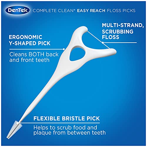 DenTek Complete Clean Fresh Mint Angled Floss Picks 75 ea (Pack of 4)