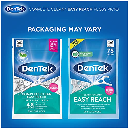 DenTek Complete Clean | Fresh Mint | Easy Reach Angled Floss Picks | No Break...