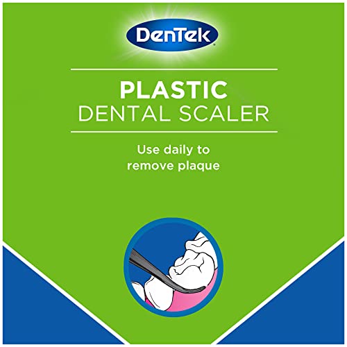DenTek Professional Oral Care Kit