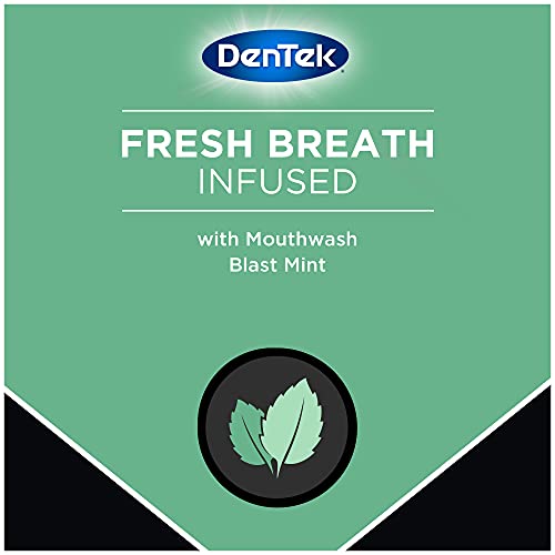 DenTek Tongue Cleaner, Fresh Mint, Removes Bad Breath, 2 Pack