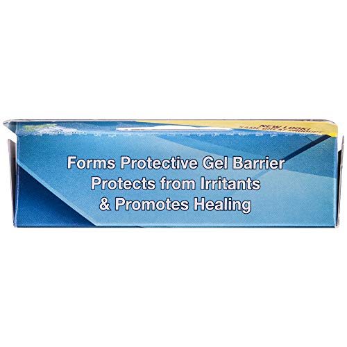 Dentemp Canker Cover - Canker Sore Oral Pain Reliever (6 Counts) - Canker Sor...