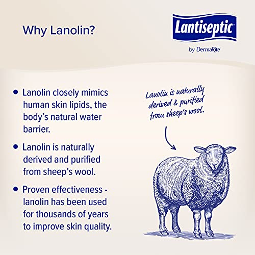 Lantiseptic Moisture Shield Original Skin Protectant – 50% Lanolin Enriched S...