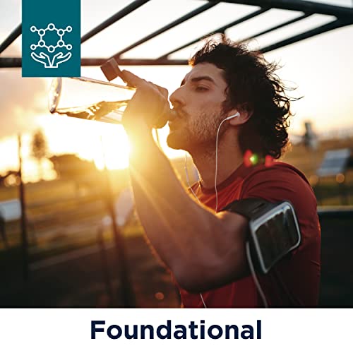 Designs for Health PurePaleo Collagen Protein Powder - 26g HydroBEEF Bone Bro...