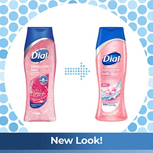 Dial Body Wash, Himalayan Salt, 21 Ounce (Pack of 4)