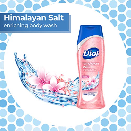 Dial Body Wash, Himalayan Salt, 21 Ounce (Pack of 4)