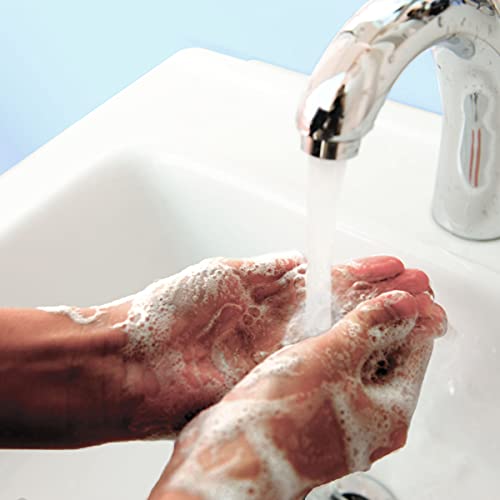 Dial Complete Antibacterial Foaming Hand Soap, Spring Water, 52 Fl Oz (Pack o...