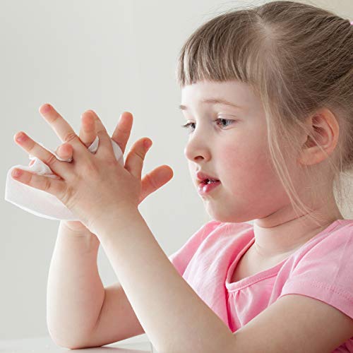 Diamond Wipes Instant Hand Sanitizer Alcohol Wipes 65% Ethyl Alcohol Box Of 1...