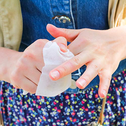 Diamond Wipes Instant Hand Sanitizer Alcohol Wipes 65% Ethyl Alcohol Box Of 1...