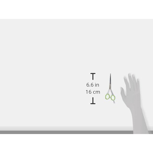 Fromm Diane Stay Sharp Edge 5 3/4"