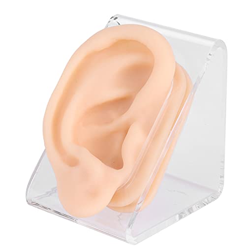 Ear Model - Soft Silicone Ear Acupuncture Practice Model Human Ear Model with...
